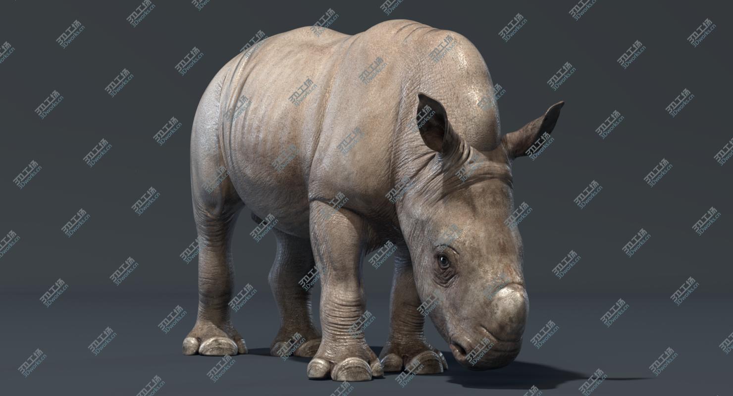 images/goods_img/202104091/3D Rhino Baby (Rigged)/1.jpg